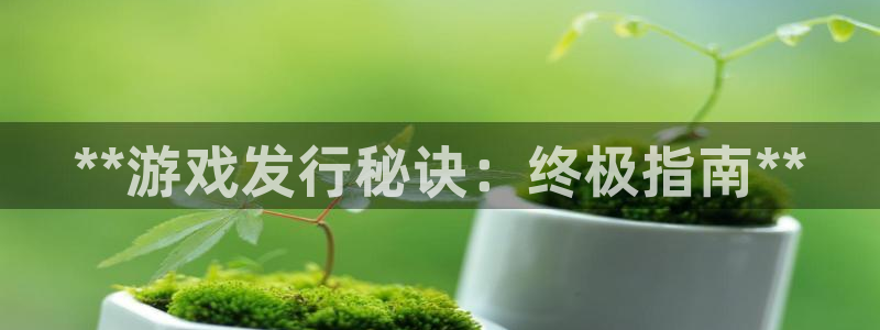 蓝狮装饰：**游戏发行秘诀：终极指南**