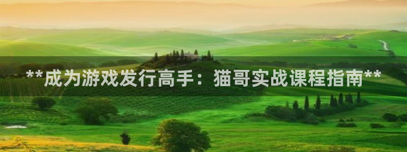 蓝狮在线注册平台是什么：**成为游戏发行高手：猫哥实战课程指南**