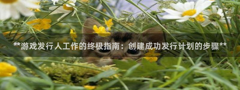 蓝狮品牌服装
