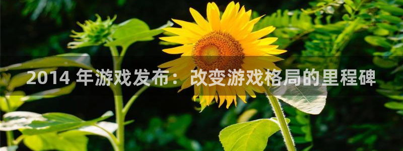 深圳市蓝狮科技有限招聘公司