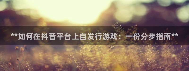 蓝狮校服
