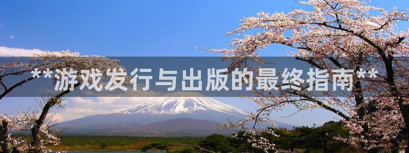 蓝狮电子商务有限公司