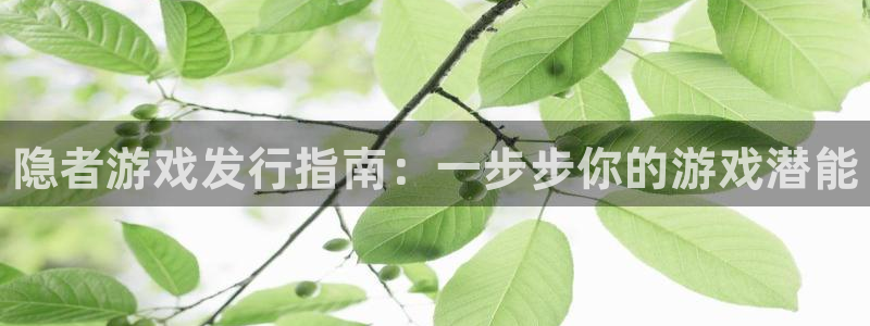 蓝狮电子商务有限公司招聘：隐者游戏发行指南：一步步你的游戏潜能