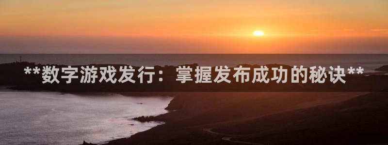 蓝狮红酒怎么样：**数字游戏发行：掌握发布成功的秘诀**
