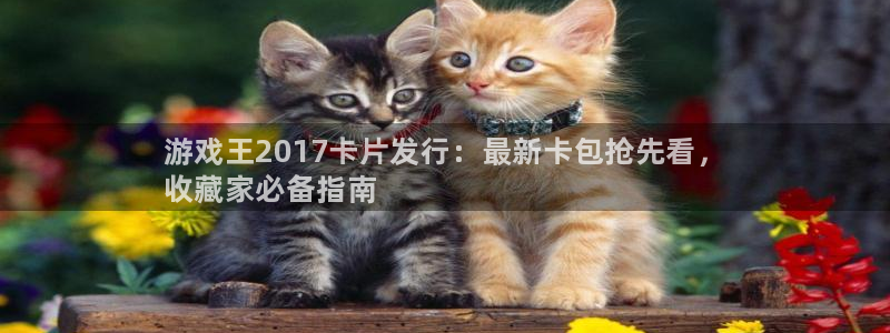 蓝狮娱乐测速官网