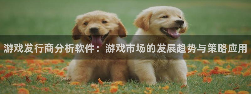 陕西蓝狮子文化创意是干什么的