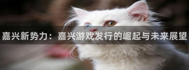 蓝狮子上市了吗