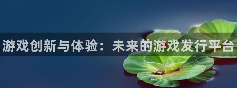 蓝狮是哪个国家的衣服品牌：游戏创新与体验：未来的游戏发行平台