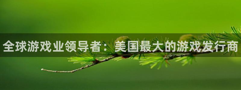 蓝狮校服：全球游戏业领导者：美国最大的游戏发行商