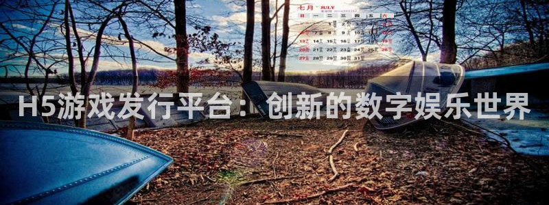 蓝狮的所有小说：H5游戏发行平台：创新的数字娱乐世界