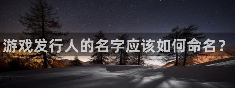 蓝狮在线登录注册：游戏发行人的名字应该如何命名？