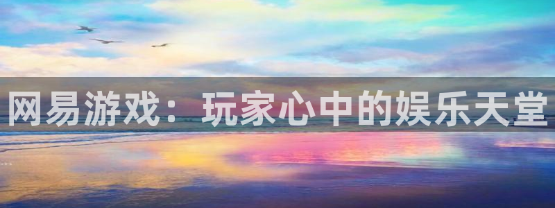 蓝狮科技：网易游戏：玩家心中的娱乐天堂