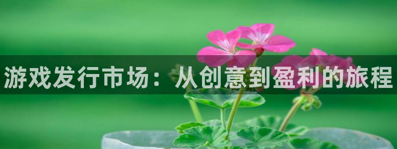 蓝狮仓储中心：游戏发行市场：从创意到盈利的旅程