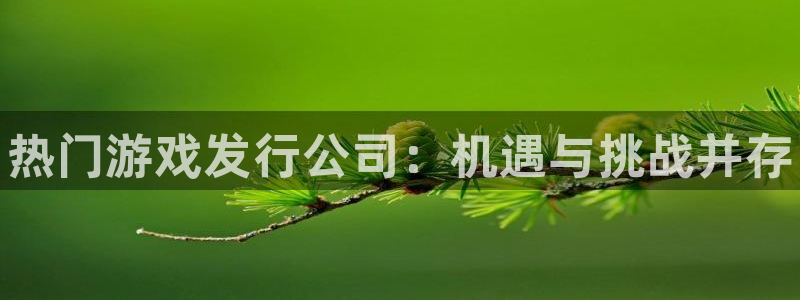 蓝狮子年度最佳图书：热门游戏发行公司：机遇与挑战并存