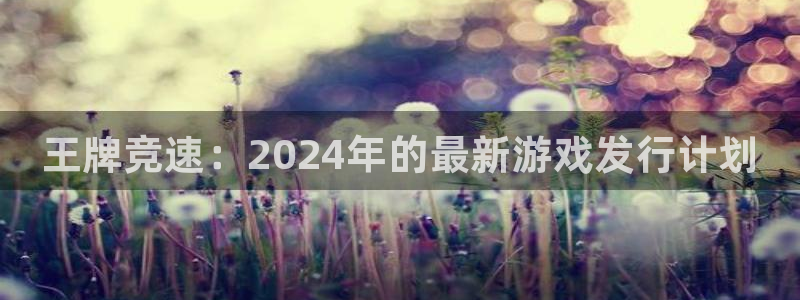 苏州蓝狮网络科技有限公司：王牌竞速：2024年的最新游戏发行计划