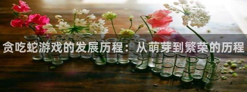 蓝狮子文化创意有限公司特邀玩家：贪吃蛇游戏的发展历程：从萌芽到繁荣的历程