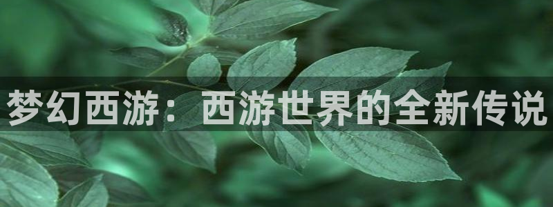 陕西蓝狮子文化创意有限公司1：梦幻西游：西游世界的全新传说